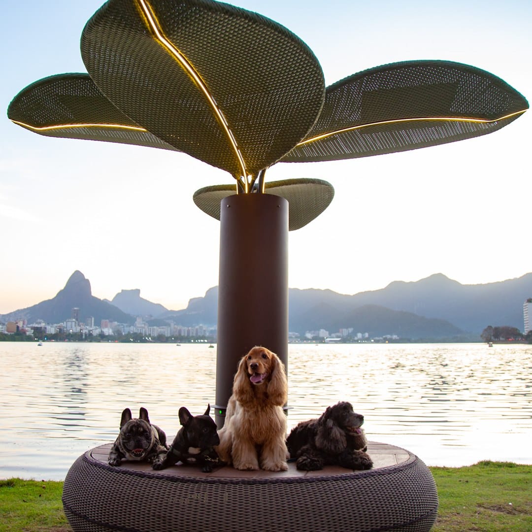 Árvore Smart Solar - Imagem 2